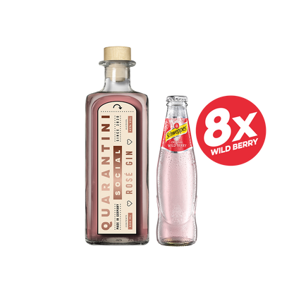 Mixing Bundle Quarantini Rosé Gin & Schweppes Original Wild Berry (0,2l)